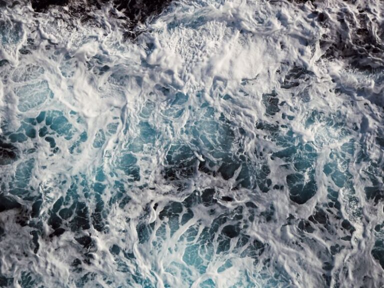 Water Quality - body of water
